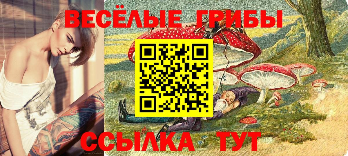 Псилоцибиновые грибы GOLDEN TEACHER Севастополь