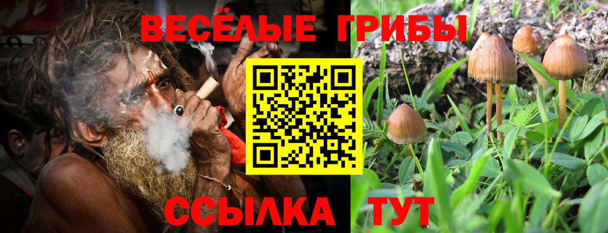 Галлюциногенные грибы мухоморы  Вход с VPN  Севастополь 